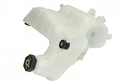 Vas expansiune racire (cu priza) potrivit TESLA MODEL 3, MODEL Y 01.17