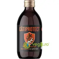 Nectar de Catina cu Ghimbir Ecologic/Bio 250ml