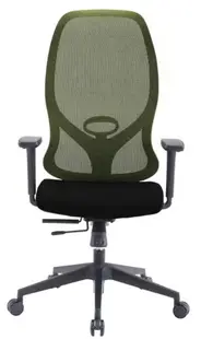Scaun ergonomic RFG - STAR HB, verde
