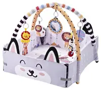 Gimnastică activă Chipolino - Zonă de joacă, multi