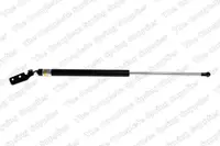 Amortizor portbagaj, haion, spate dreapta SUBARU FORESTER 2002-2008
