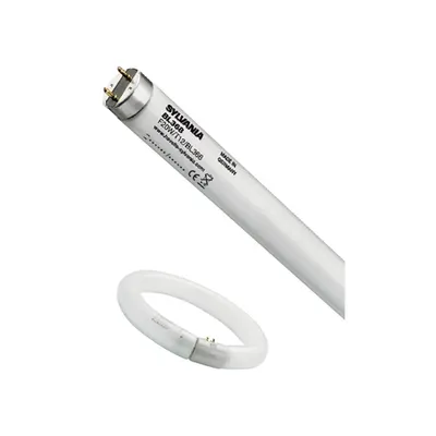 Tub Fluorescent Insecte T5 8W