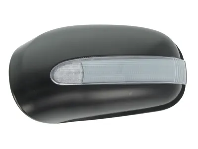 Carcasa / capac oglinda laterala Stanga potrivit MERCEDES S C140, S W220 1992-2005