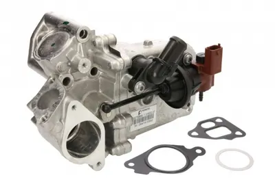 Radiator Egr Alfa Romeo Mito; Chevrolet Aveo; Citroen Nemo; Fiat 500, 500 C, Doblo, Fiorino, Grande Punto, Idea, Panda, Punto, Punto Evo, Qubo; Ford Ka; Lancia Musa 1.3d Dupa 2005