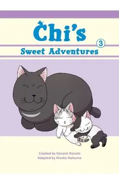 Chi's Sweet Adventures, 3