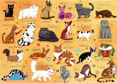 Puzzle 120 piese - Lumea pisicilor