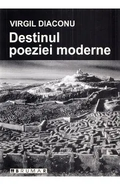 Destinul poeziei moderne