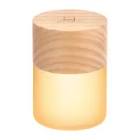 Decorațiune luminoasă în culoare naturală cu USB ø 4,5 cm Lemelia – Gingko