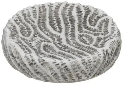 Săpunieră Wenko - Salemi, Ø10.5 x 2.5 cm, gri