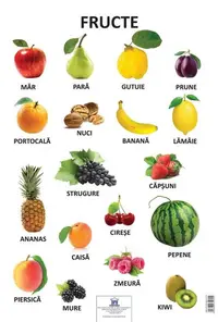 Planșă - Fructe - Paperback - ***