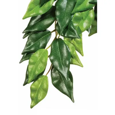 Exo Terra Planta Ficus Small, 45 Cm