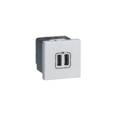 Priza dubla USB Legrand