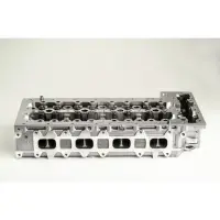 Chiulasa AMC 908659