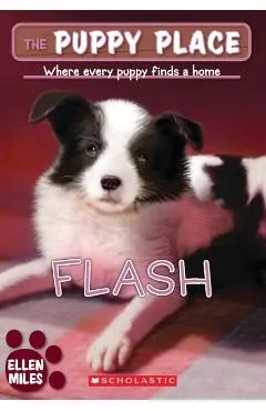 Flash