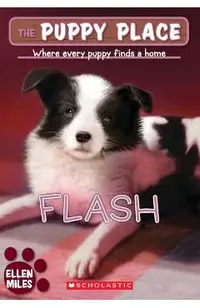Flash