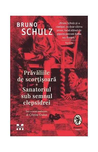 Prăvăliile de scorțișoară - Paperback brosat - Bruno Schulz