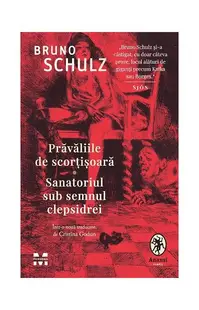 Prăvăliile de scorțișoară - Paperback brosat - Bruno Schulz