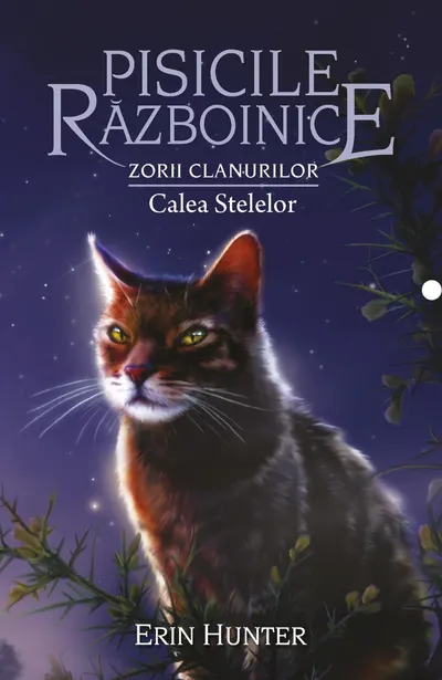 Pisicile războinice (vol. 30): Zorii Clanurilor. Calea Stelelor