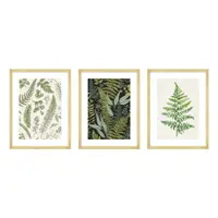 Tablouri 3 buc. 30x40 cm Fern – knor