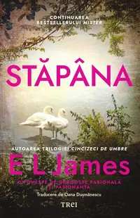 Stăpâna (seria Mister, vol. 2)