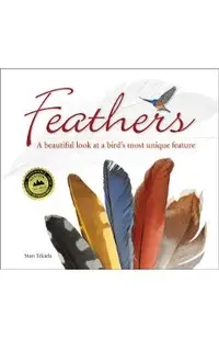 Feathers: A Beautiful Look at a Bird's Most Unique Feature