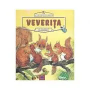 Animale salbatice in natura. Veverita