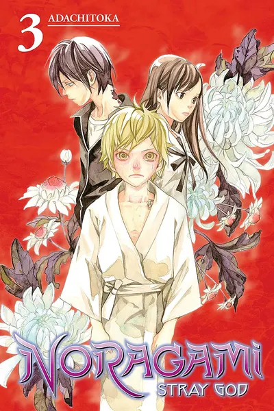 Noragami Stray God, Vol. 3