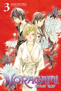 Noragami Stray God, Vol. 3