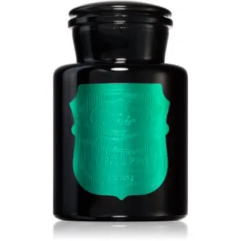 Paddywax Apothecary Noir Tabac & Pine lumânare parfumată
