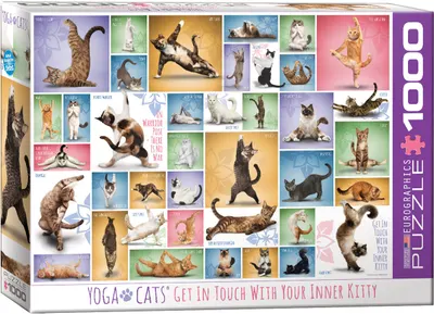 Puzzle Eurographics din 1000 de piese - Yoga Pisici