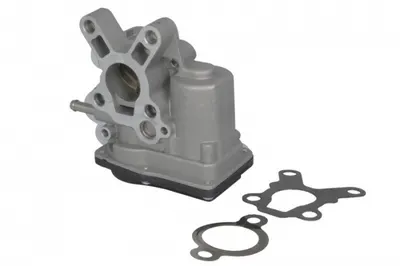 Supapa Egr Potrivit Nissan Cabstar, Navara, Navara Np300, Np300, Pathfinder Iii, Pick Up 2.5d 11.01