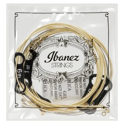 Corzi de chitară acustică Ibanez - IACS61C, 10-47, auriu