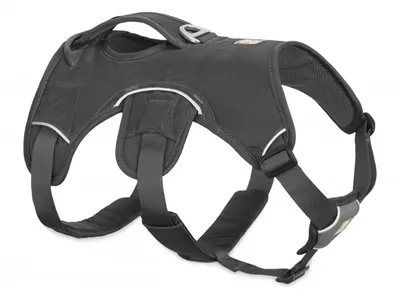 Ham multifunctional, gri twilight, confortabil, cu 5 puncte de ajustare, circumferința piept 33-43 cm