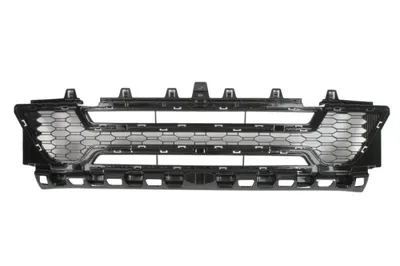 Grila bara Fata Mijloc potrivit BMW X1 U11 07.22- 06.22
