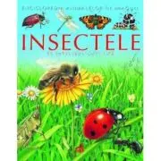 Insectele pe intelesul copiilor
