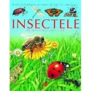 Insectele pe intelesul copiilor