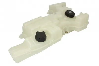 Vas expansiune lichid racire (cu conector) potrivit DAF LF 45, LF 55 01.01