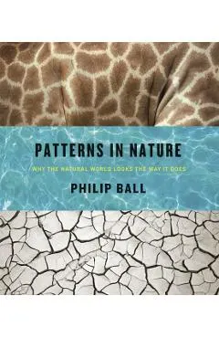 Patterns in Nature: Why the Natural World Looks the Way It Does