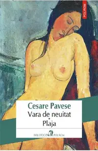 eBook Vara de neuitat. Plaja