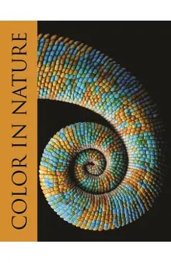 Color in Nature