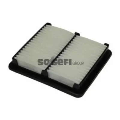 Filtru aer PURFLUX A1060