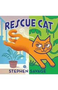 Rescue Cat