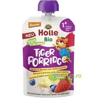Terci cu Banane, Fructe de Padure, Ovaz si Quinoa pentru Copii +1 An fara Zahar Demeter Ecologic/Bio 110g