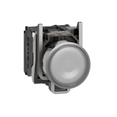 Buton iluminat Complet Incastrat Alb Ø 22, Revenire cu Arc, 1No+1Nc 110, 120 V