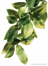 Exo Terra Planta Mandarin Small 45 CM PT 3002