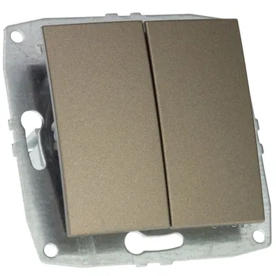Mecanism Intrerupator dublu, ingropat/ST, LIGHT FUME