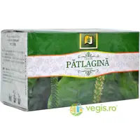 Ceai Patlagina Frunze 20dz