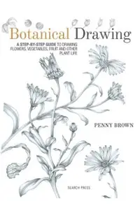Botanical Drawing