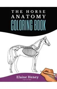 Horse Anatomy Coloring Book For Adults - Self Assessment Equine Coloring Workbook: Test Your Knowledge - For Equestrians & Veterinary Students