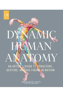 Dynamic Human Anatomy: An Artist's Guide to Structure, Gesture, and the Figure in Motion